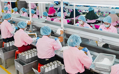 Checking and packing | Disposable gloves