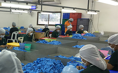 Quality control checks | Nitrile and latex examination disposable gloves