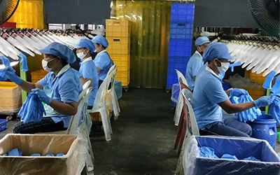The assembly of latex and nitirle gloves
