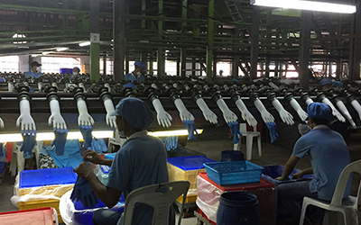 The production line of latex and nitirle gloves